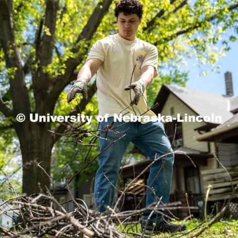 Dominik Kluthe of Delta Phi Fraternity, gathers and piles sticks from a homeowner’s front lawn during the Big Event. May 4, 2024. Photo by Kirk Rangel for University Communication.
